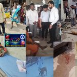 تمام شعبہ ہائے حیات میں افراد خانوادہ صوفی سرمست ؒ کی نمایاں خدمات